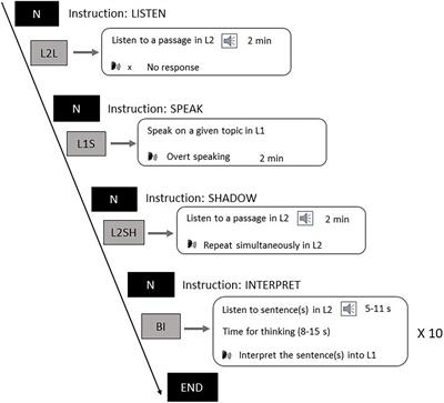 Task-Modulated Oscillation Differences in Auditory and Spoken Chinese-English Bilingual Processing: An Electroencephalography Study